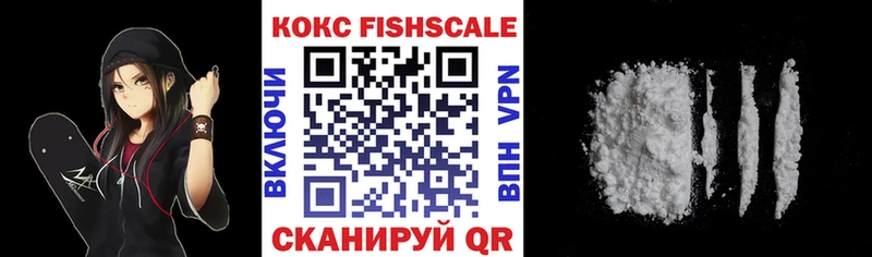 как найти   Болотное  Кокаин Эквадор 
